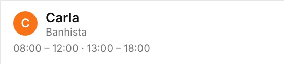 Profissional com a jornada do dia